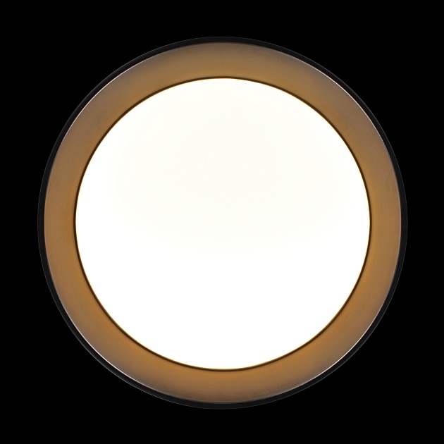 Потолочный светильник Loft it Coin 10202 BB Фото № 4