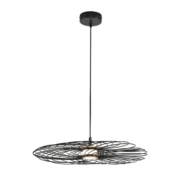 Подвес Lumion CAMOMILE 8379/10L Фото № 1