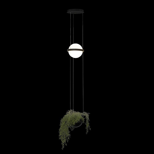 Подвесной светильник LOFT IT Jardin 10121/B Фото № 2