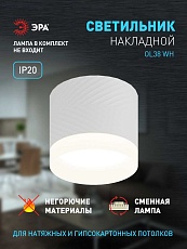 Настенно-потолочный светильник ЭРА OL38 WH Б0056387 2