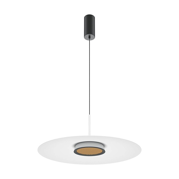 Подвесной светодиодный светильник Maytoni El MOD041PL-L15W3K1 Фото № 1