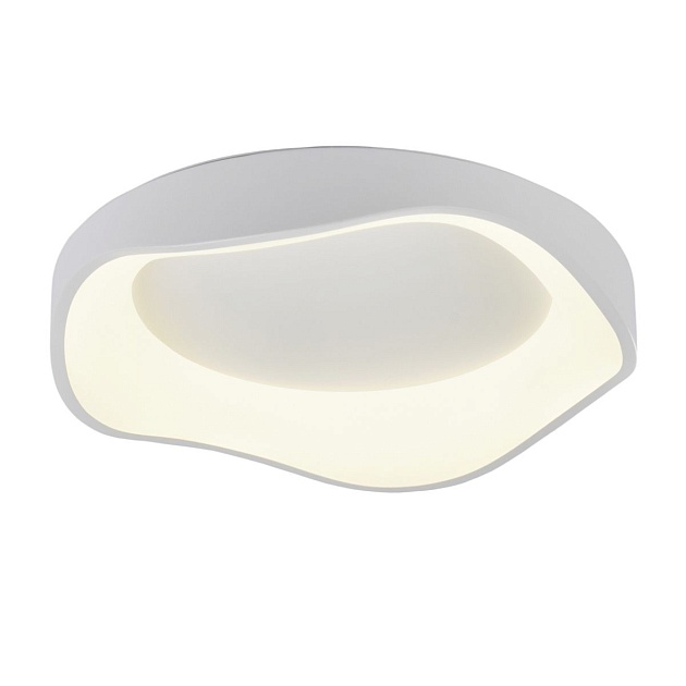 Потолочный светодиодный светильник MyFar Ceiling Diona MR9170-CL изображение 1 Потолочный светодиодный светильник MyFar Ceiling Diona MR9170-CL Фото № 1