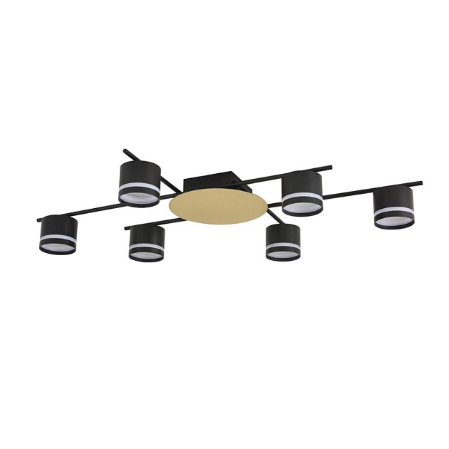 Светильник потолочный Lumion BENUA 8304/6C Фото № 1