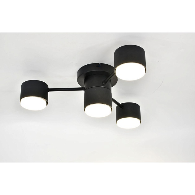 Потолочная люстра Rivoli Ruth 3190-304 Б0071293 изображение 1 Потолочная люстра Rivoli Ruth 3190-304 Б0071293 Фото № 1