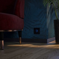 Розетка Werkel с/з с подсветкой черный W1171408 4690389171727 1