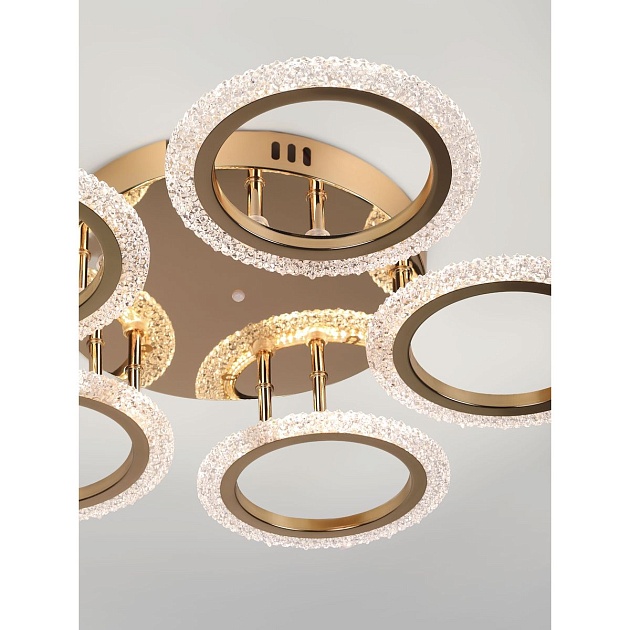 Потолочная светодиодная люстра Rivoli Evlalia 6178-733 Б0068423 Фото № 19