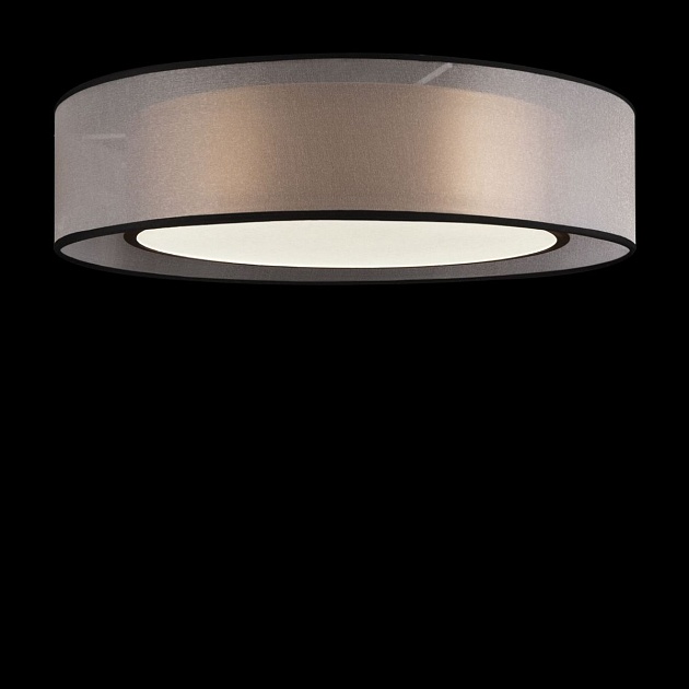 Потолочный светодиодный светильник Freya Zoticus FR6005CL-L36G Фото № 4