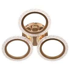 Потолочная светодиодная люстра Rivoli Evlalia 6178-703 Б0068399 2