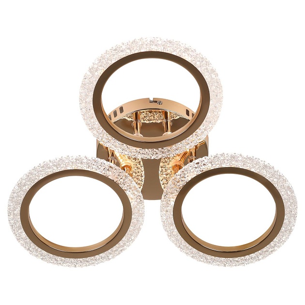Потолочная светодиодная люстра Rivoli Evlalia 6178-703 Б0068399 Фото № 3