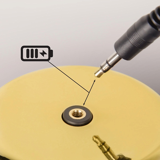 Настольная лампа Loft IT Brothers 10233/A Gold изображение 3 Настольная лампа Loft IT Brothers 10233/A Gold Фото № 3