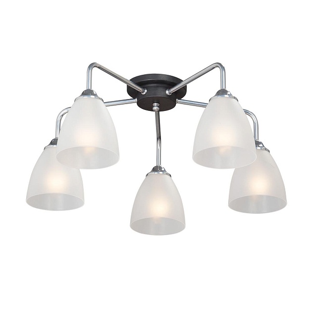 Потолочная люстра Vitaluce V4952-9/5PL изображение 1 Потолочная люстра Vitaluce V4952-9/5PL Фото № 1