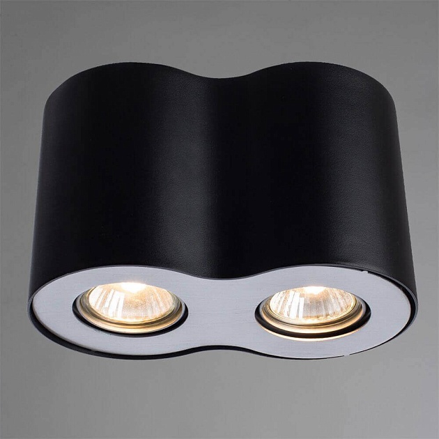 Потолочный светильник Arte Lamp Falcon A5633PL-2BK фото 2