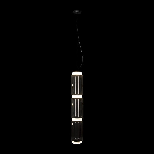 Подвесной светодиодный светильник Loft IT Noctambule 10194/L Фото № 2