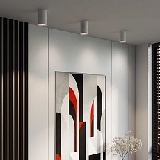 Потолочный светодиодный светильник Elektrostandard Kayo 25049/LED 12W 4000К белый a064730 1