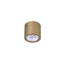 Потолочный светодиодный светильник Favourite Deorsum 2807-1C 1