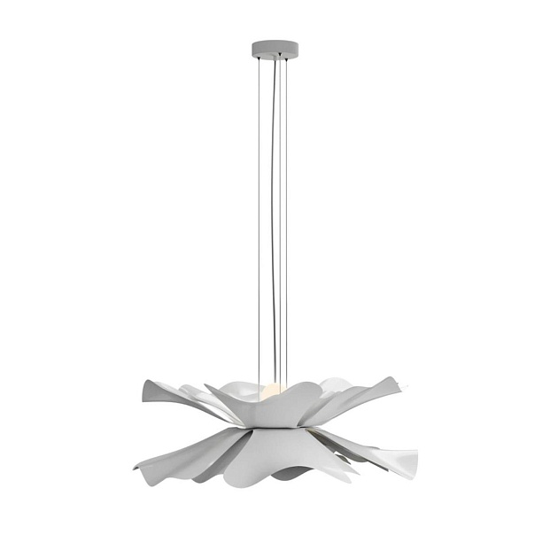 Подвесная люстра Lightera Chad LE116L-40W Фото № 5