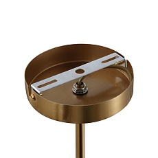 Люстра Lumion GLORIYA 8272/8C 2