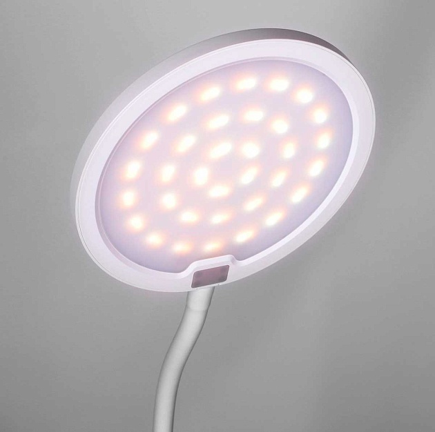 Настольная лампа Camelion KD-836 C01 13887 Фото № 2