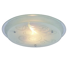 Потолочный светильник Arte Lamp A4865PL-2CC 3