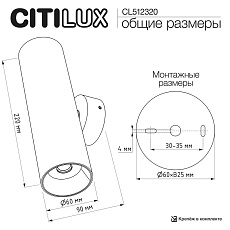 Настенный светильник Citilux Axel CL512320 1