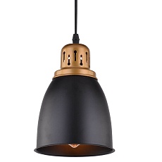 Подвесной светильник Arte Lamp Eurica A4248SP-1BK 1