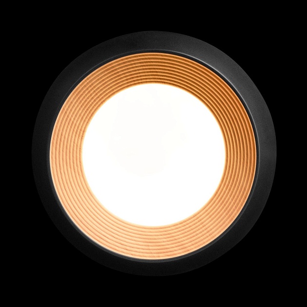 Потолочный светильник Loft IT Folk 10255/350 Black изображение 5 Потолочный светильник Loft IT Folk 10255/350 Black Фото № 5