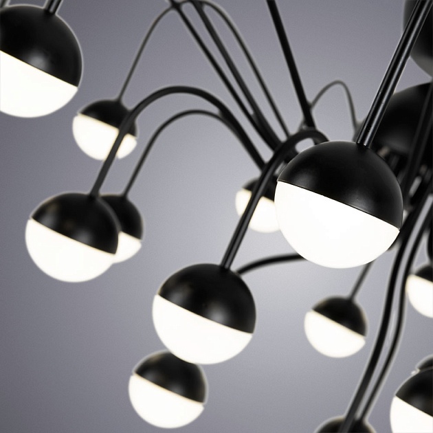 Потолочная светодиодная люстра Arte Lamp Dexter A3619PL-24BK Фото № 2