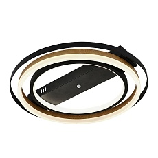 Потолочный светодиодный светильник Escada Lagom 10247/2LED