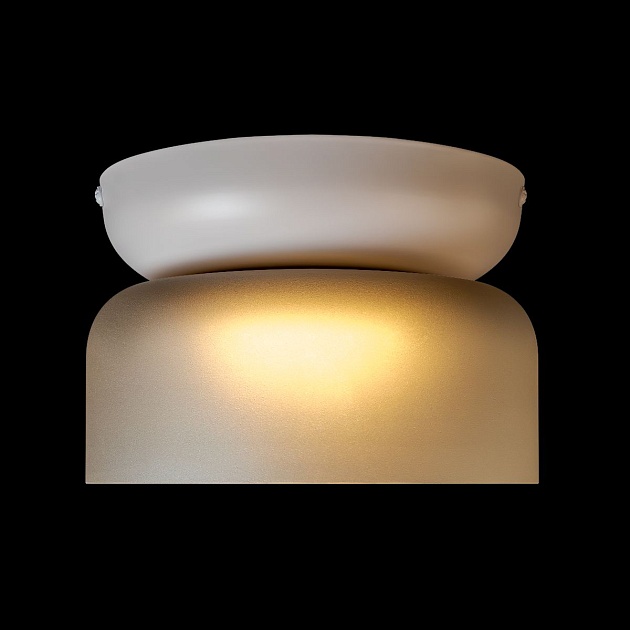 Потолочный светильник Loft IT Totem 10466 Smoke matte Фото № 3
