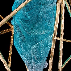 Подвесной светильник Fluorite La Сitta Green FL1101-1P2 3