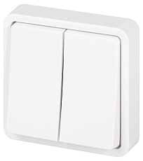 Выключатель ЭРА Эксперт 11-1524-01 двойной IP55 10АХ-250В СУ белый Б0063271