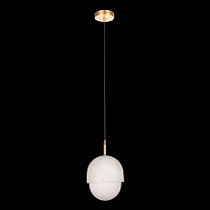Подвесной светильник Fluorite Flamma FL1021-1P 5