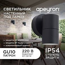 Уличный настенный светильник Apeyron Grafite 11-116 5