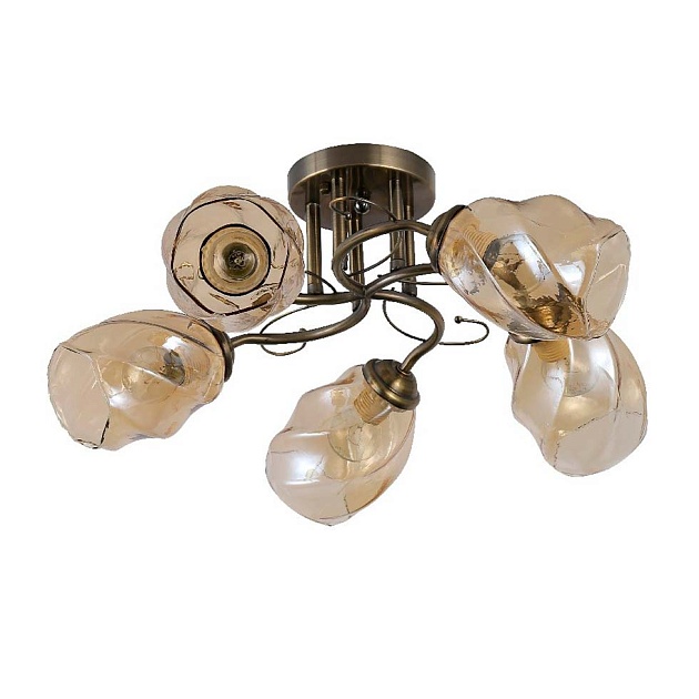 Потолочная люстра ЭкономСвет 12179/5BRS AMB Фото № 1