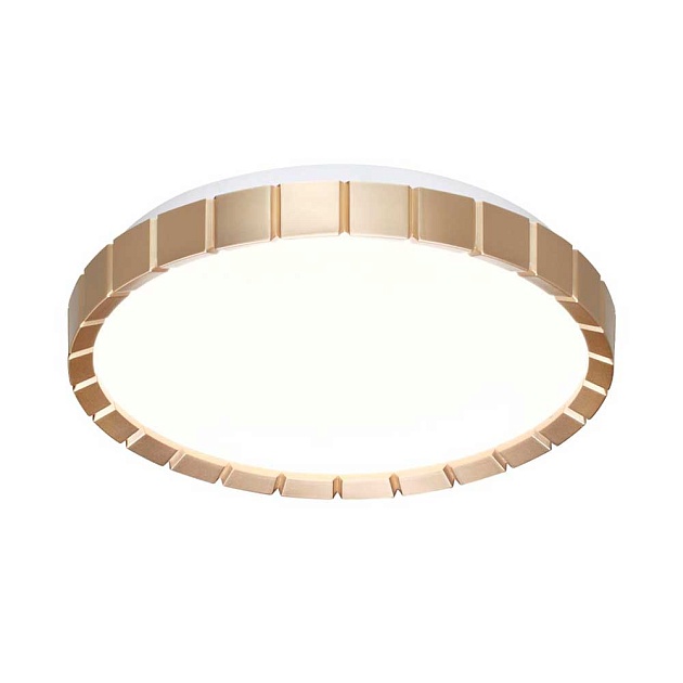 Настенно-потолочный светодиодный светильник Sonex Pale Atabi Gold 7648/CL фото 2