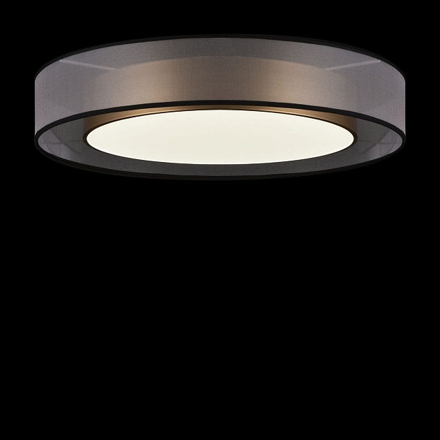 Потолочный светодиодный светильник Freya Zoticus FR6005CL-L48G Фото № 5