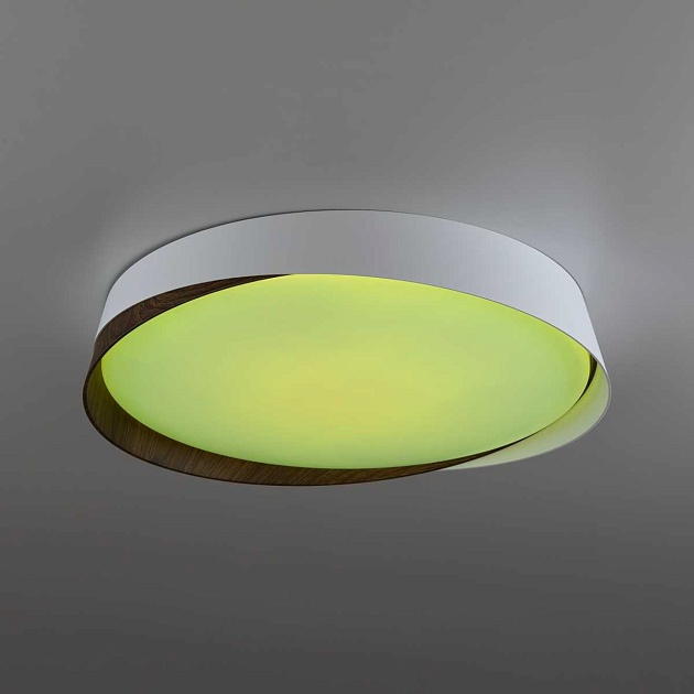 Светильник потолочный Citilux BONNY CL754350G Фото № 11