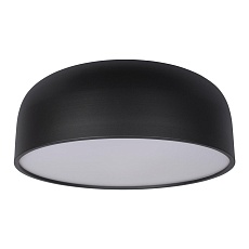 Потолочный светодиодный светильник Loft IT Axel 10201/480 Black