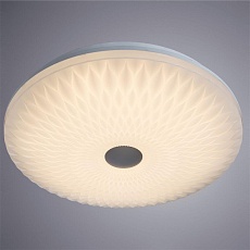 Потолочный светодиодный светильник Arte Lamp A2460PL-1WH 1