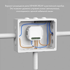 Wi-Fi реле-диммер двухканальное Denkirs 2x100Вт RL1004-DM/1 4