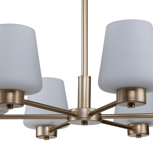 Подвесная люстра Indigo Tulip 13004/6P Gold V000001 Фото № 3