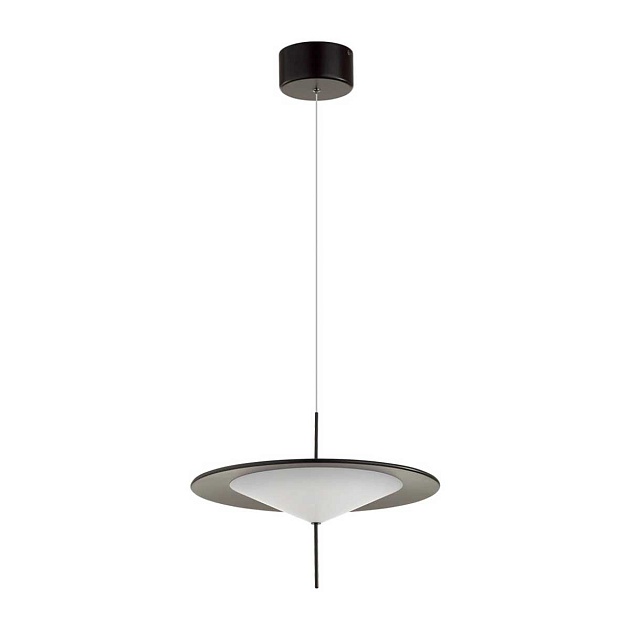 Подвесной светодиодный светильник Odeon Light Steka 5012/16L изображение 1 Подвесной светодиодный светильник Odeon Light Steka 5012/16L Фото № 1
