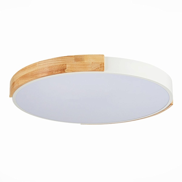 Потолочный сетодиодный светильник Evoluce Delia SLE201352-01 Фото № 1