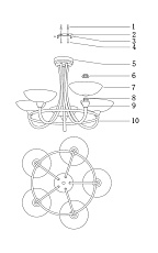 Подвесная люстра Moderli Lione V1204-5C 1