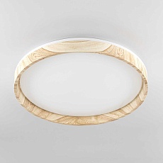 Потолочный светодиодный светильник Citilux Enzo CL753452G 1