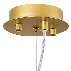 Подвесная люстра Lightstar Savona 816022 3
