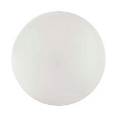 Настенно-потолочный светодиодный светильник Sonex Pale Vale 3040/CL 1