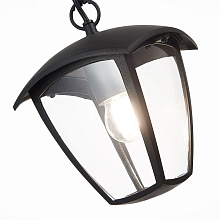 Уличный подвесной светильник ST Luce Sivino SL081.403.01 1
