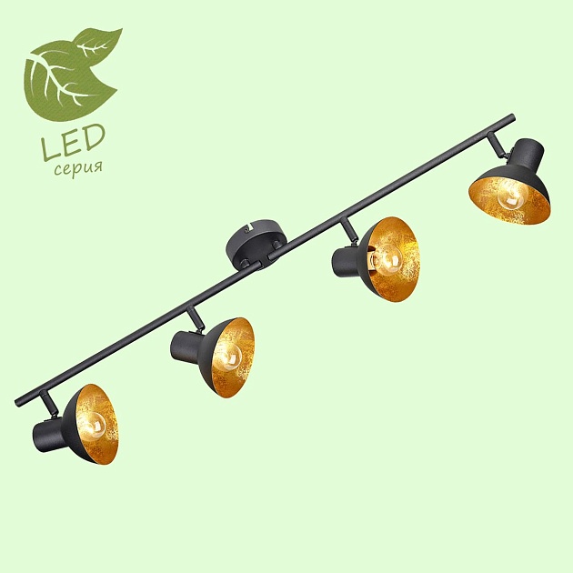 Спот Lussole Loft Louisville GRLSP-9976 Фото № 3