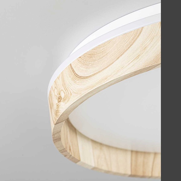 Потолочный светильник Citilux CL753352G Фото № 9